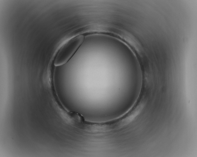 X0000112420981200908141407
