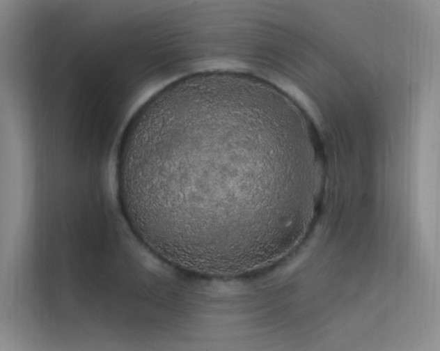 X0000112420983200908141407