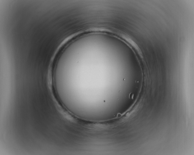 X0000112420984200908141407