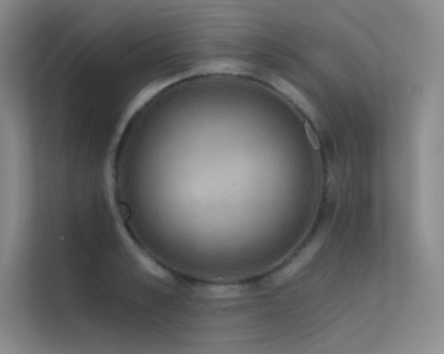 X0000112420989200908141407