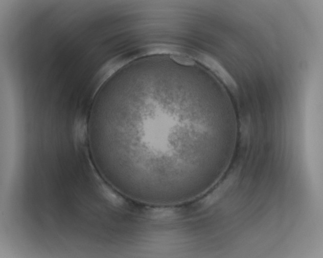 X0000112420993200908141407