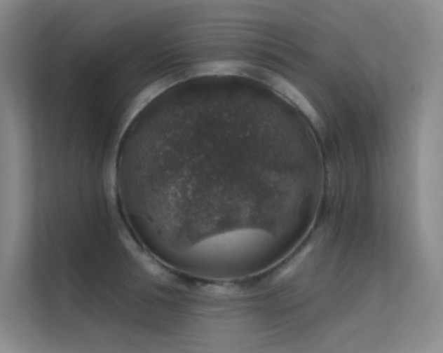 X0000112420994200908141407