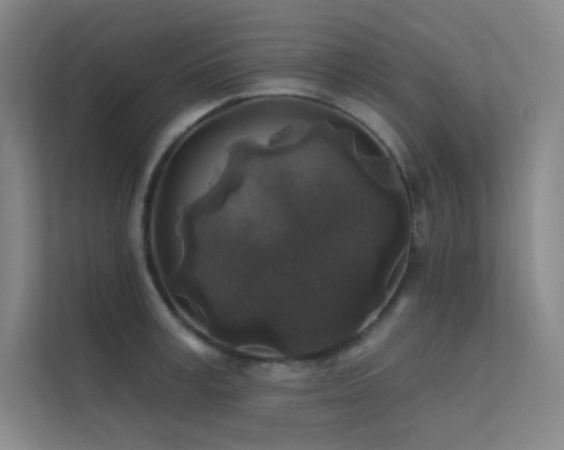 X0000112420995200908141407