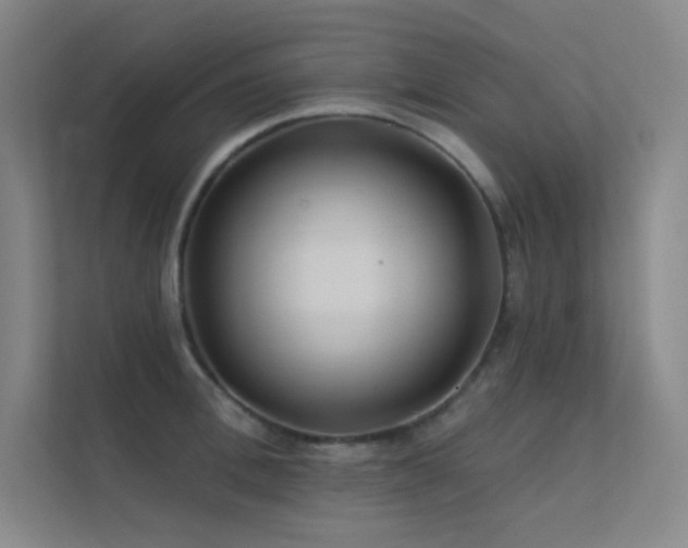 X0000112420996200908141407