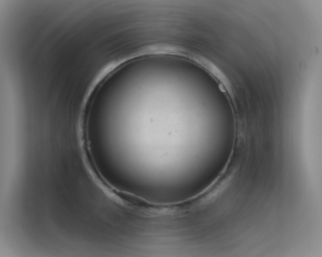 X0000112420997200908141407