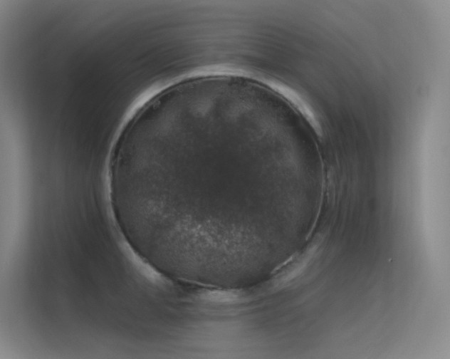 X0000112420998200908141407