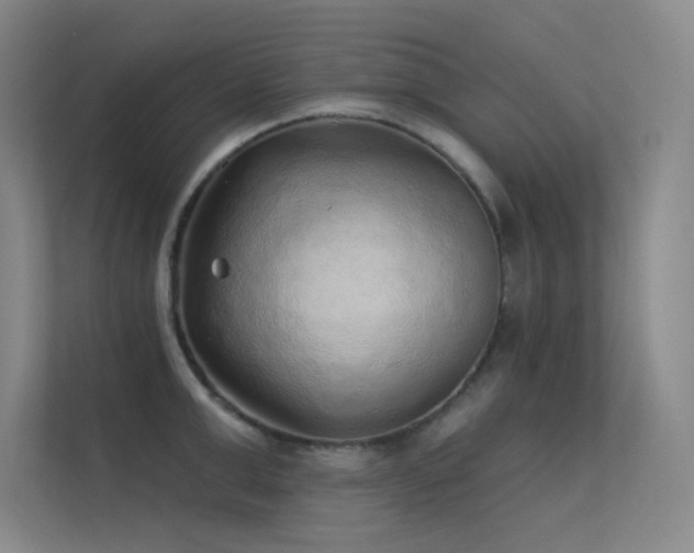 X0000112420999200908141407