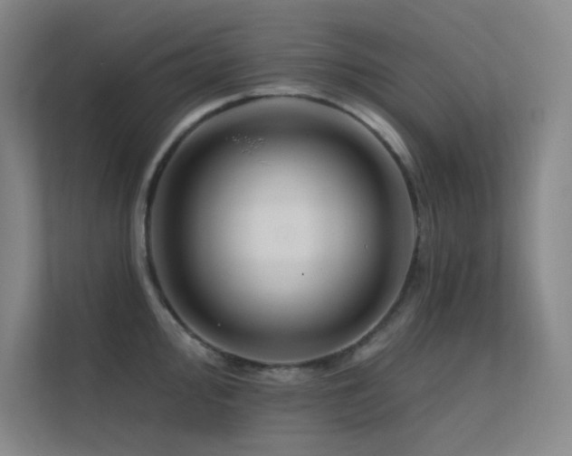 X0000112421000200908141407
