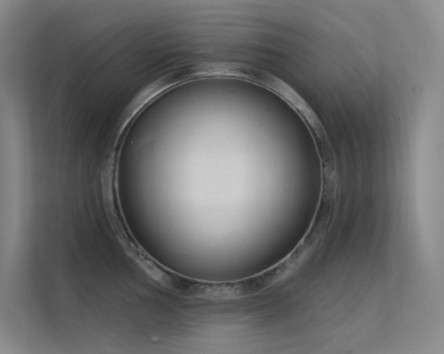 X0000112421002200908141407