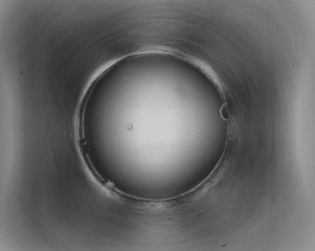 X0000112421003200908141407