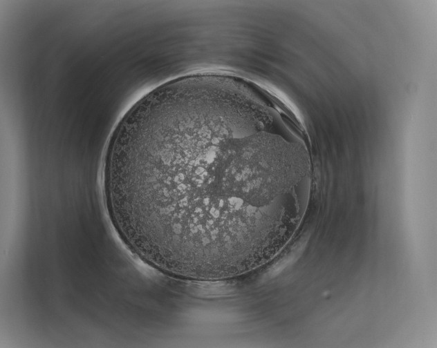 X0000112421007200908141407