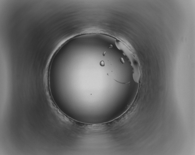 X0000112421008200908141407