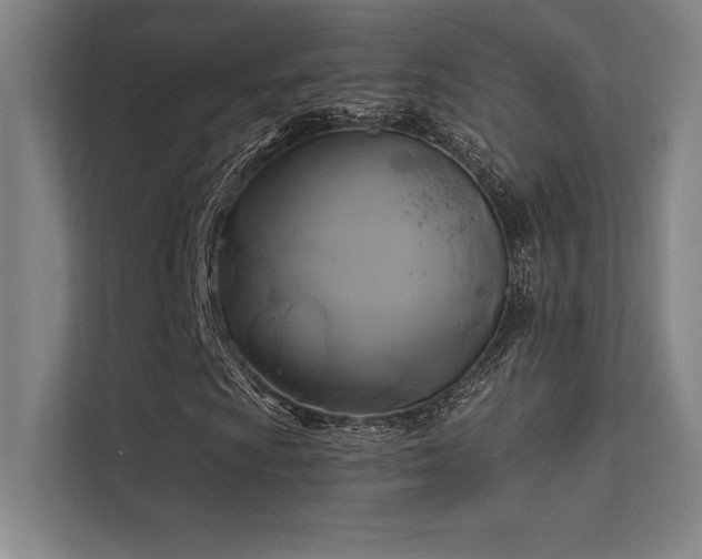 X0000112421009200908141406
