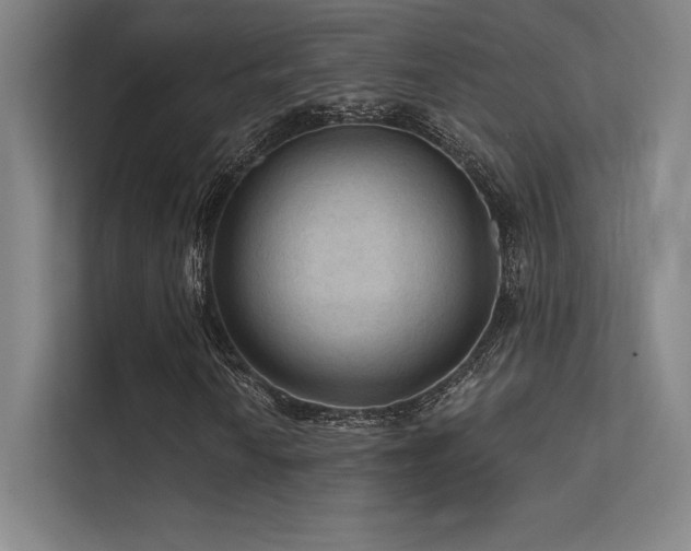 X0000112421010200908141406
