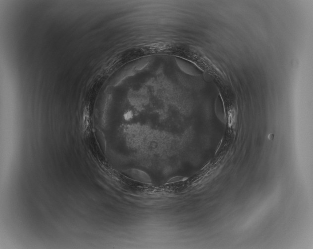 X0000112421011200908141406