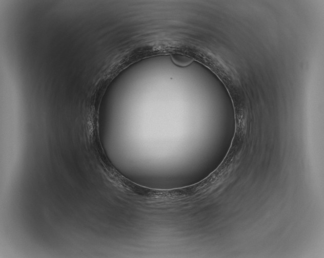 X0000112421012200908141406