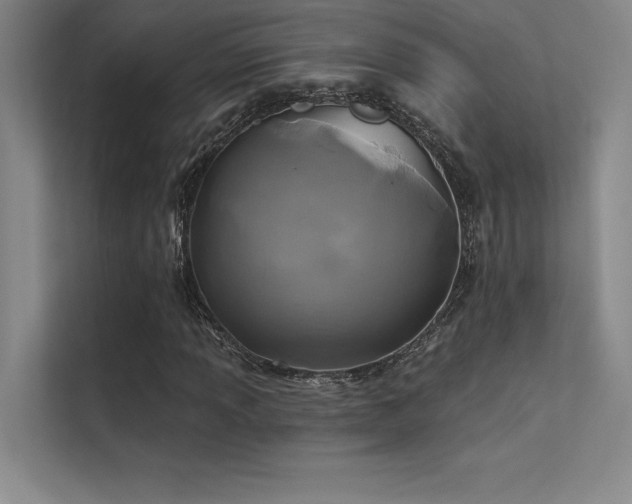 X0000112421013200908141406