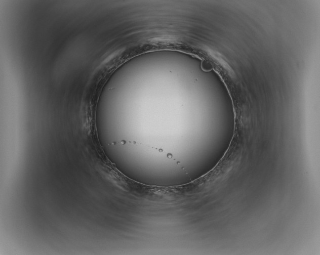 X0000112421015200908141406