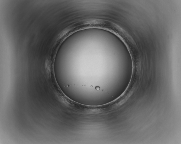 X0000112421017200908141406