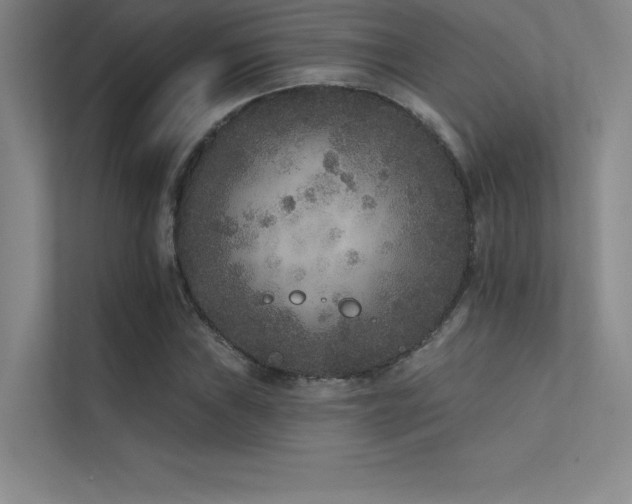 X0000112421019200908141406