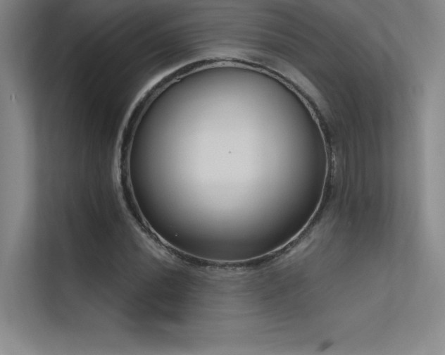 X0000112421020200908141406