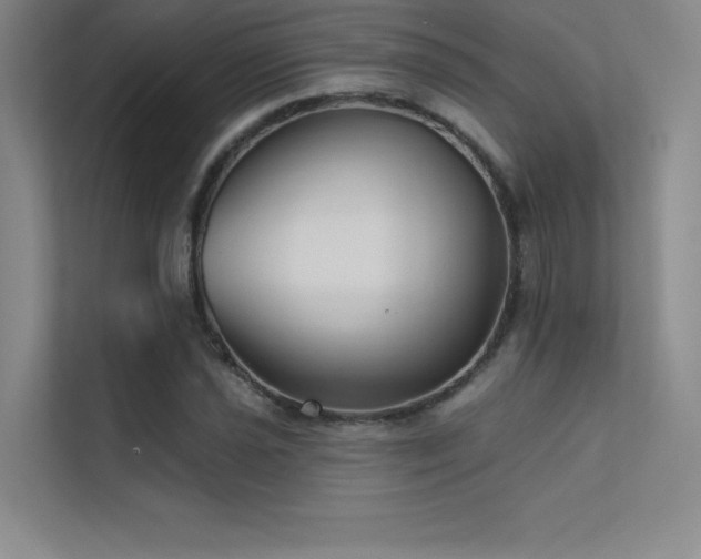 X0000112421021200908141406