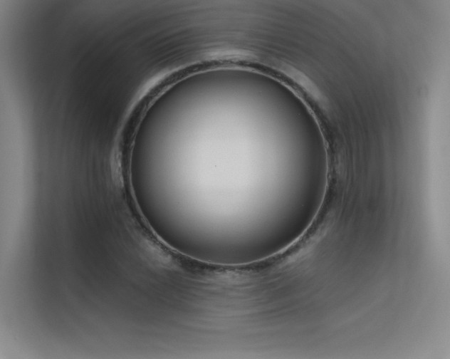 X0000112421022200908141407