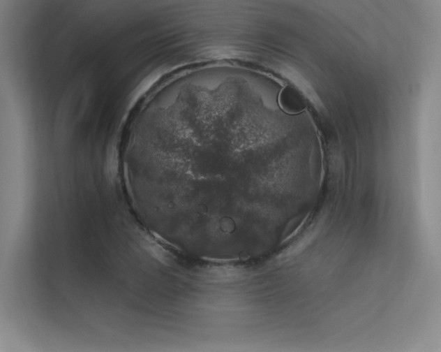 X0000112421023200908141407