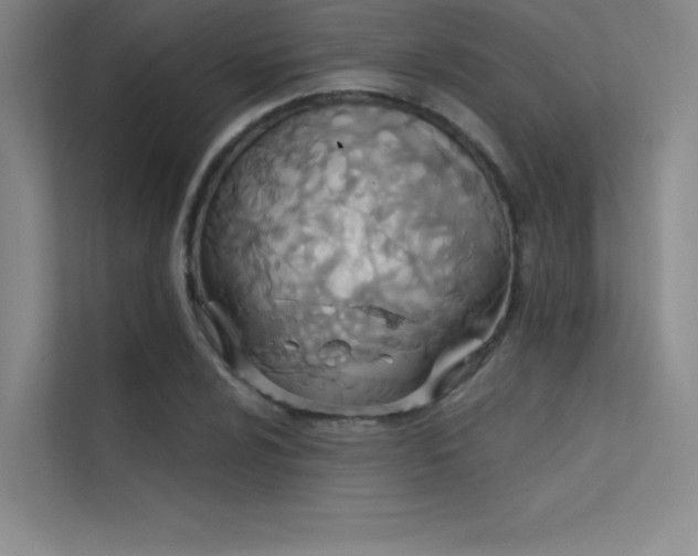 X0000112421024200908141407
