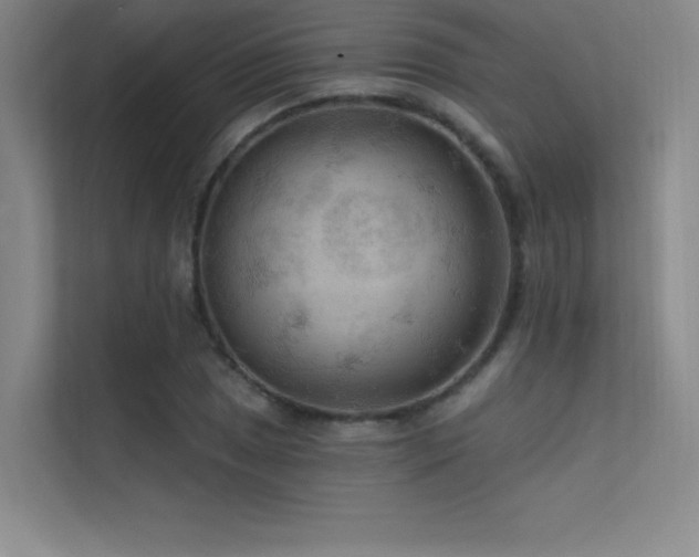 X0000112421025200908141407