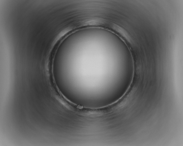 X0000112421026200908141407