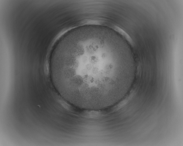 X0000112421027200908141407