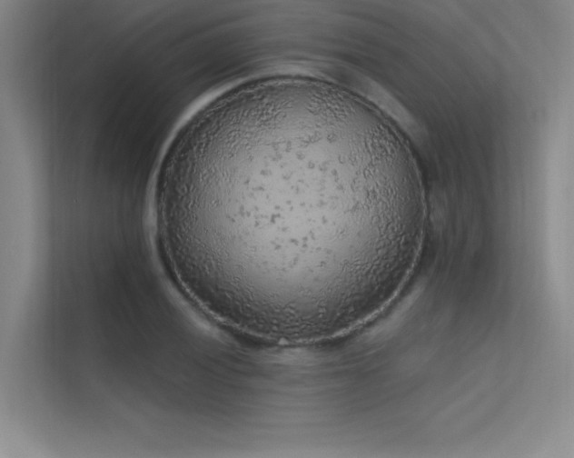 X0000112421028200908141407