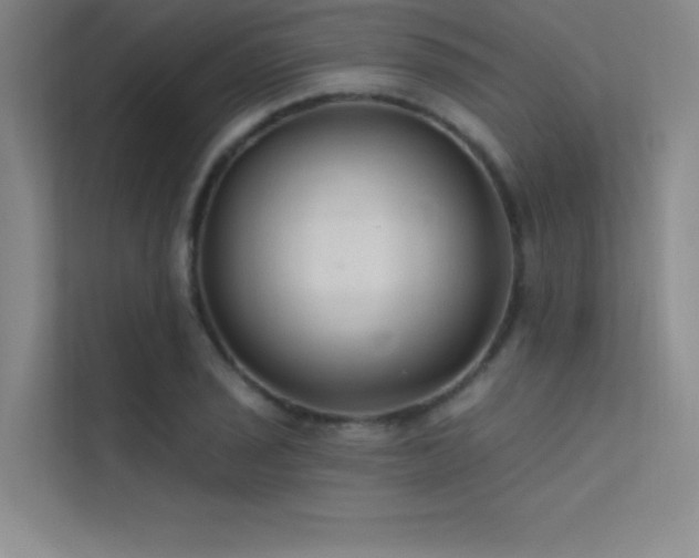X0000112421029200908141407