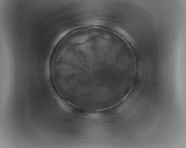X0000112421031200908141407