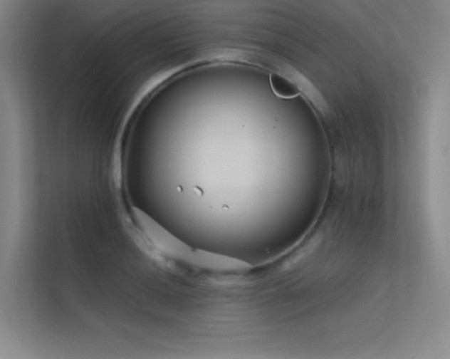 X0000112421036200908141407