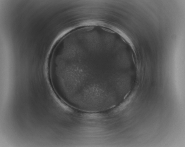 X0000112421045200908141407