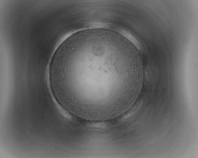 X0000112421047200908141407