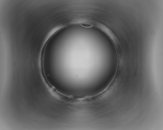 X0000112421050200908141407