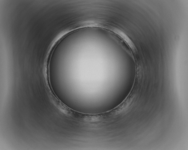 X0000112421051200908141407