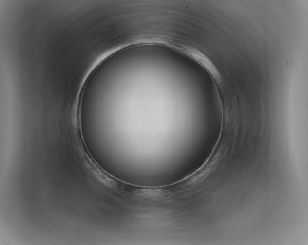 X0000112421052200908141407