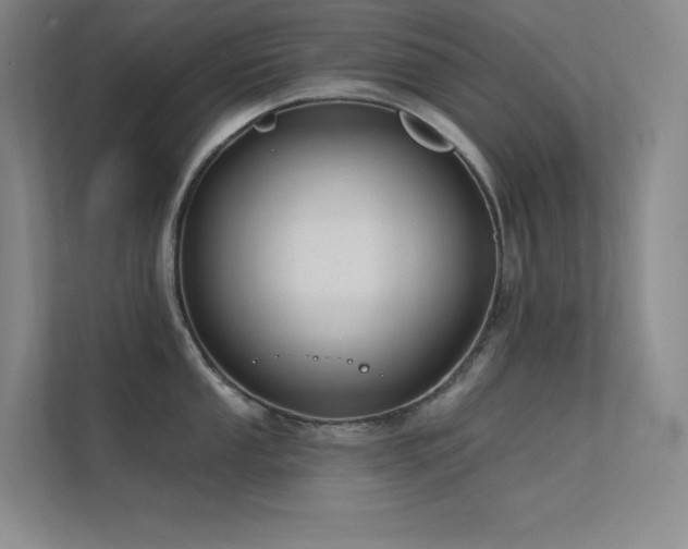 X0000112421053200908141407