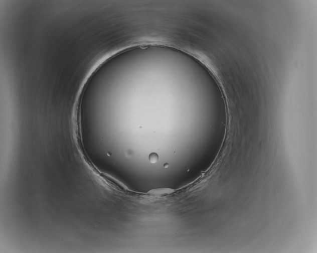 X0000112421056200908141407