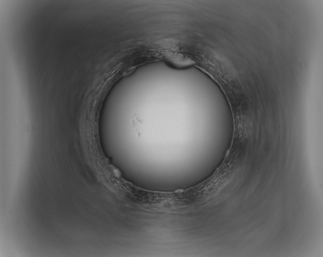 X0000112421057200908141406