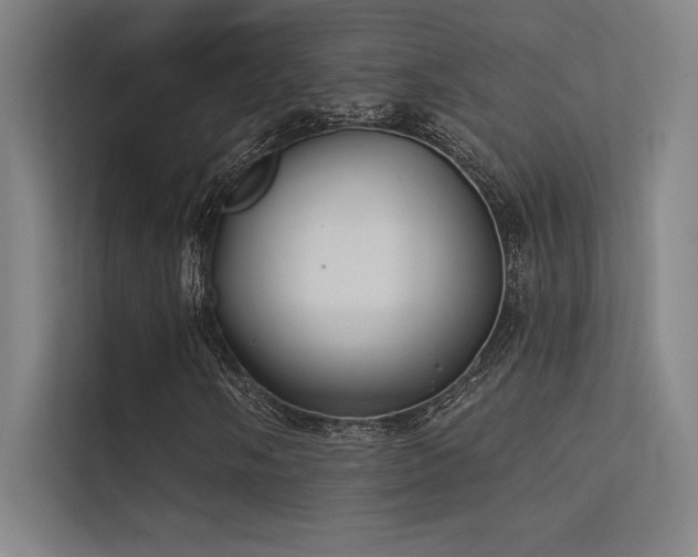 X0000112421058200908141406