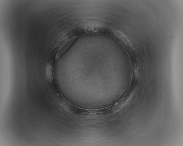 X0000112421060200908141406