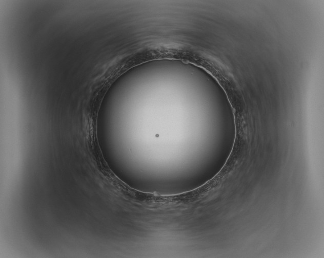 X0000112421061200908141406