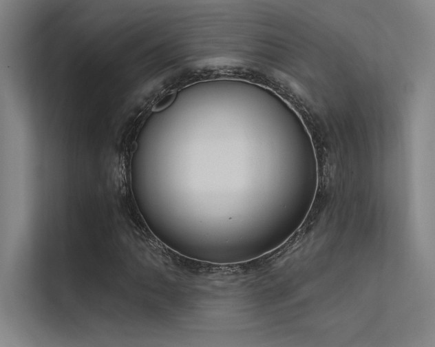 X0000112421062200908141406