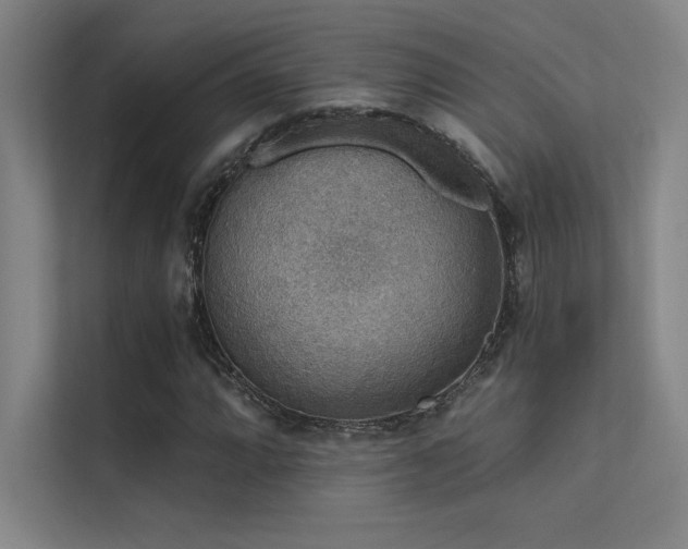 X0000112421064200908141406