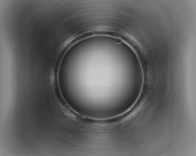 X0000112421065200908141406
